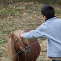 100_0506.jpg